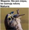 Szanuję naturę, nie jem przyjaciół