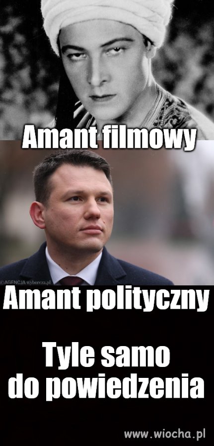 Tulipany