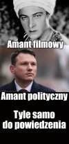 Tulipany