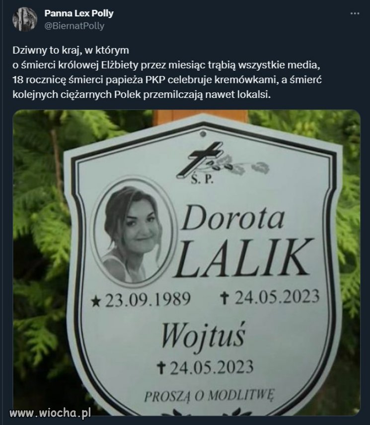 PiS wprowadził KatoPatoTaliban, a ginekolodzy głoszą, 