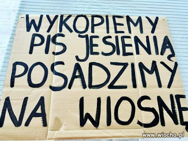Tak to wygląda