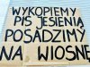 Tak to wygląda