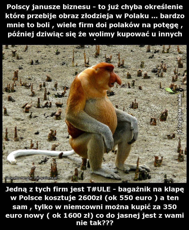 Polscy janusze biznesu - to już chyba określenie