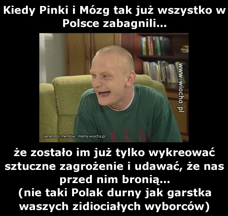 Kiedy Pinki i Mózg tak już wszystko w Polsce