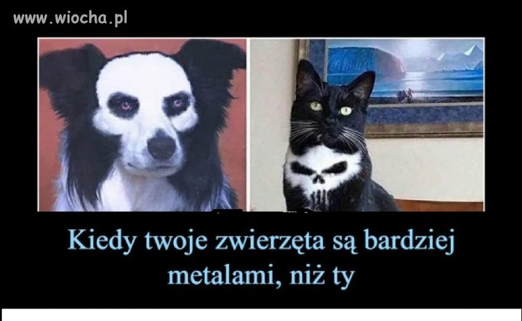 KISS  ...dla Kobiet, na tą piosenkę rwałem laski