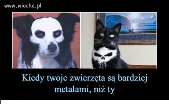KISS  ...dla Kobiet, na tą piosenkę rwałem laski