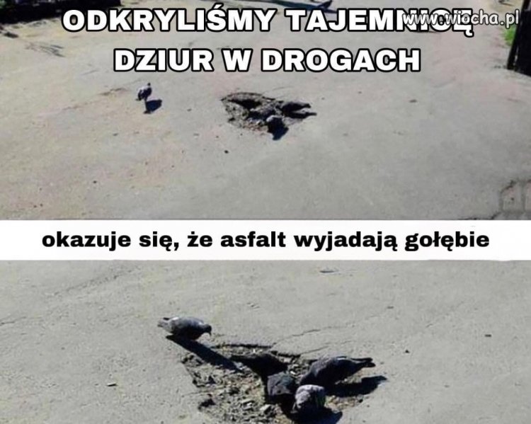 Rząd powinien płacić