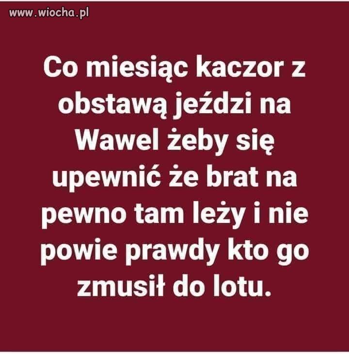 Coś w tym jest