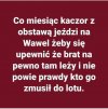 Coś w tym jest