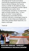 Kanał, mewy i kajakarze