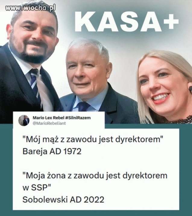Bareja wiecznie żywy
