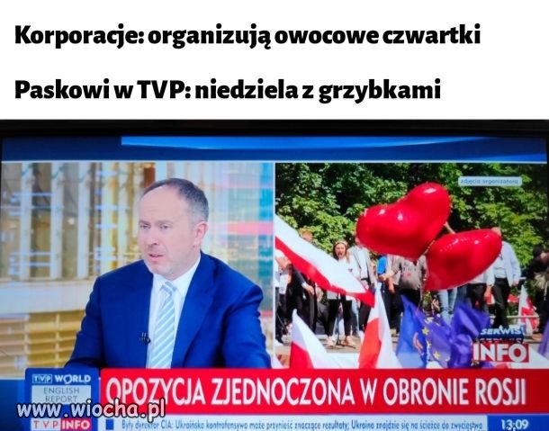 Telewizja publiczna 