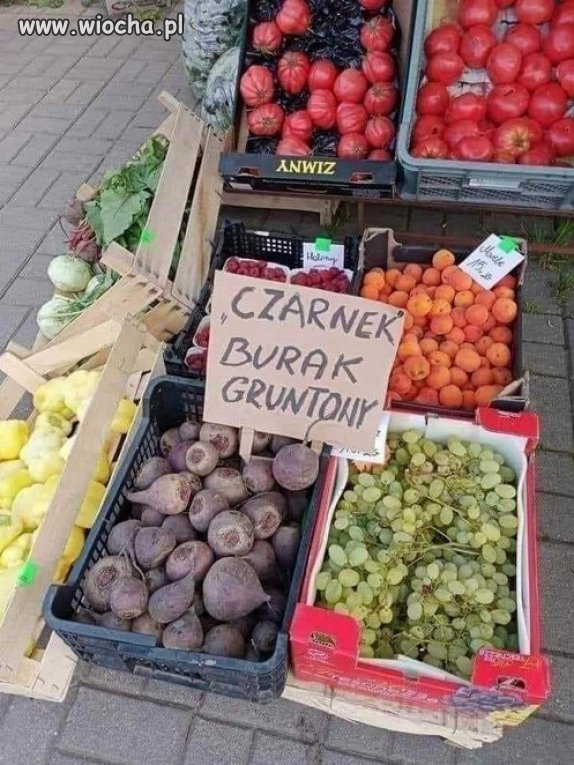 Oj prawda, tylko czy buraki się nie obrażą 