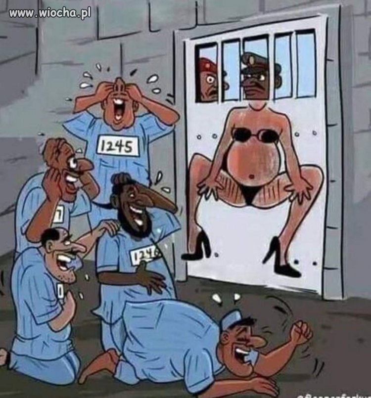 Bez polityki