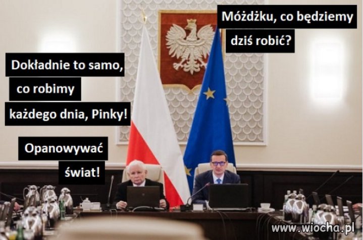 Pinky i Mózg, czyli senilny i klamca...kumaci PiSu