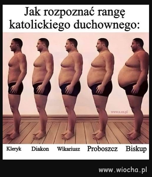Są atlasy roślin , ptaków, owadów