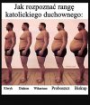 Są atlasy roślin , ptaków, owadów