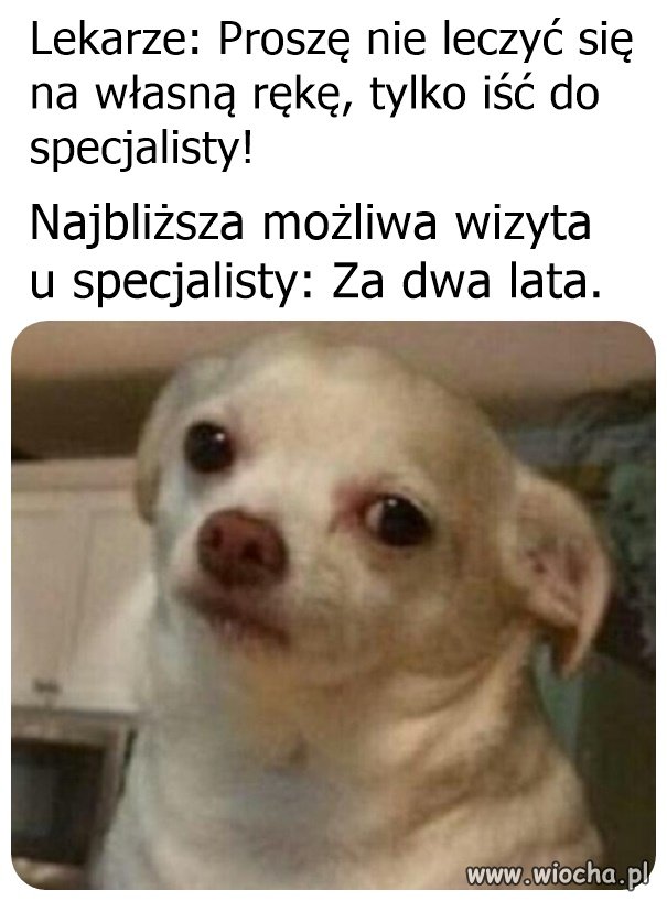 I wszystko wiadomo