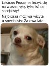 I wszystko wiadomo