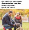 Tytuł Zbędny 