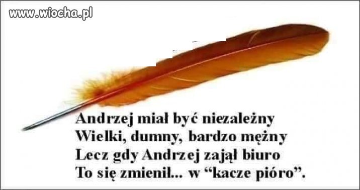 Tylko to tu zostawię