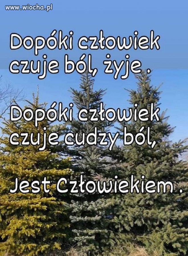 Taka prawda