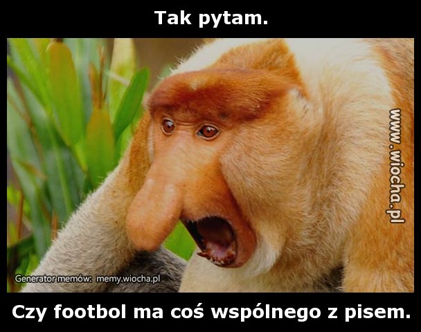Tak pytam.