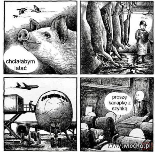 Marzenia się spełniają.