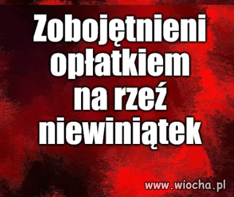 Watykańczycy, tak różni od Polaków.