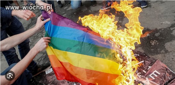 Aktywiści kai godek palą flagi na paradzie