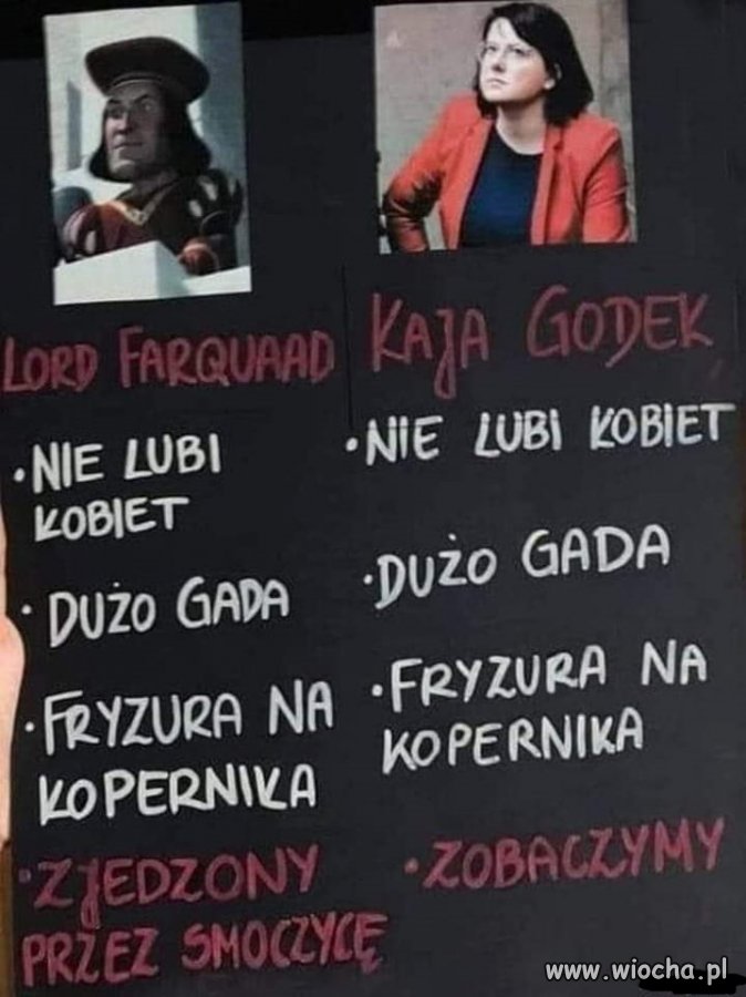 Takie krótkie i rzeczowe