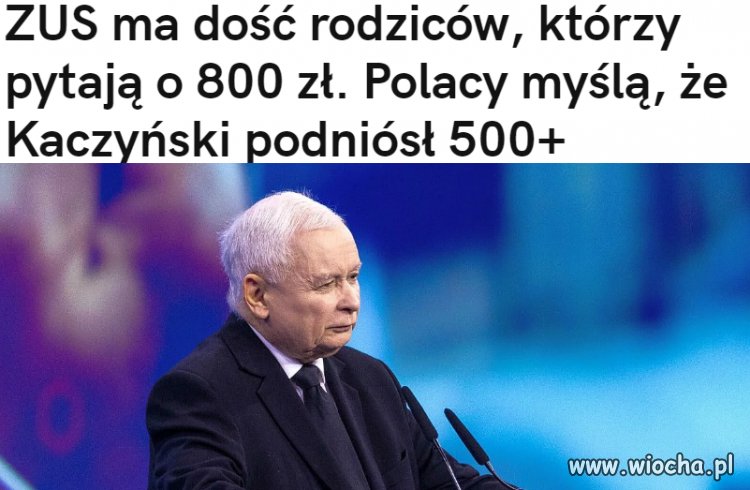 Mam wrażenie że to pisowski elektorat