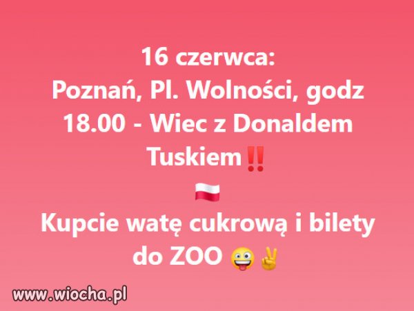 Teraz czas na spacerowiczow z Poznania...