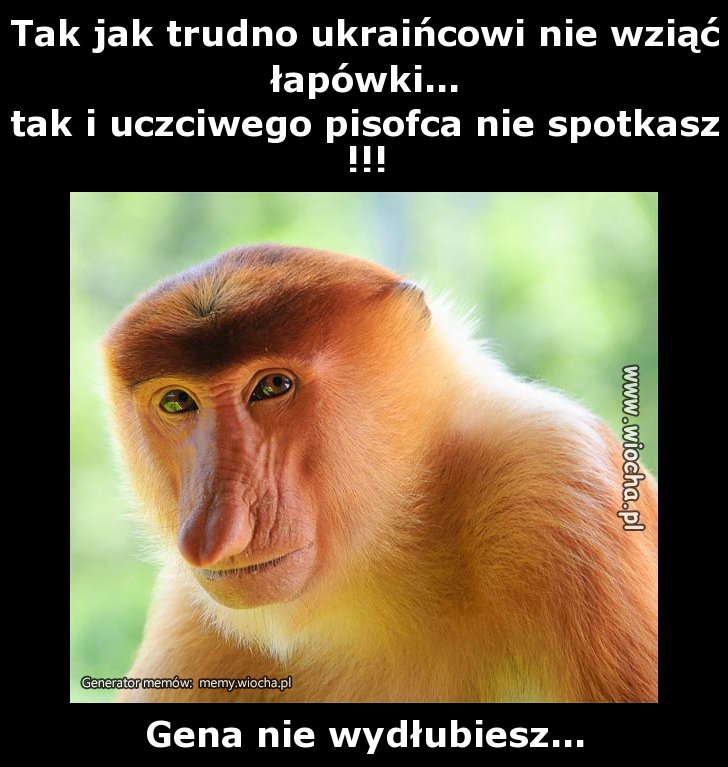 Tak jak trudno ukraińcowi nie wziąć łapówki...