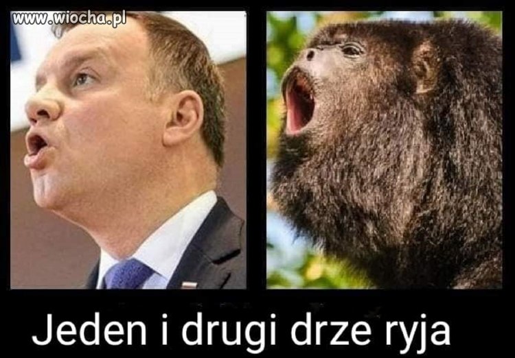 Obaj mają w tym cel