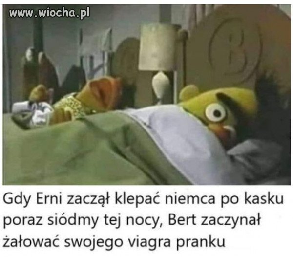 Wybij sobie z głowy pranki
