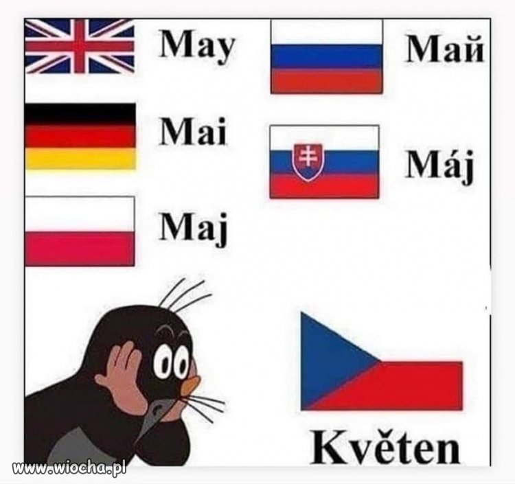 Ożeń się z Czeszką