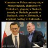 PiS wprowadzil nowe jednostki miary w polityce...