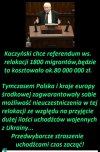 Kaczor i przekaz dla debili 