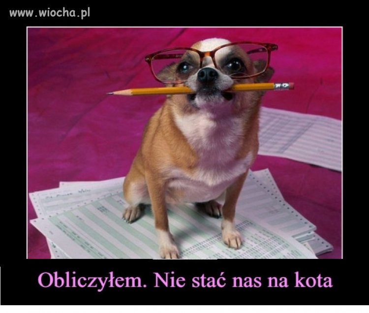Nie i tyle