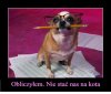 Nie i tyle
