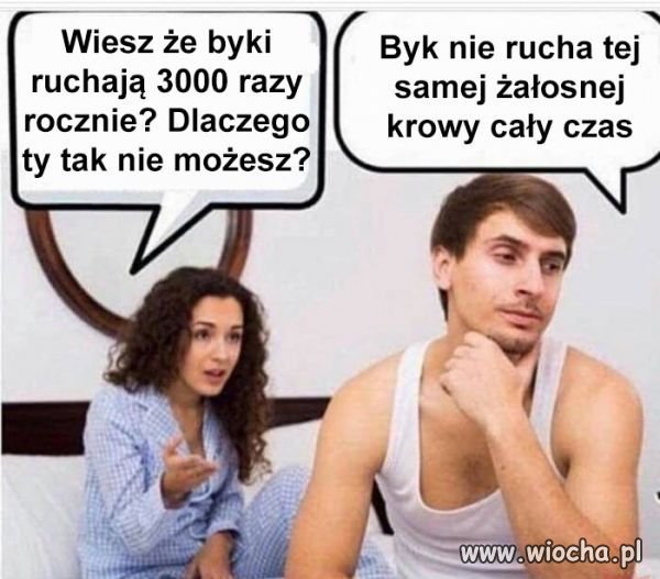 Krowa która dużo ryczy 