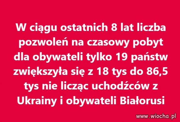 O tym w tvpis się nie dowiesz