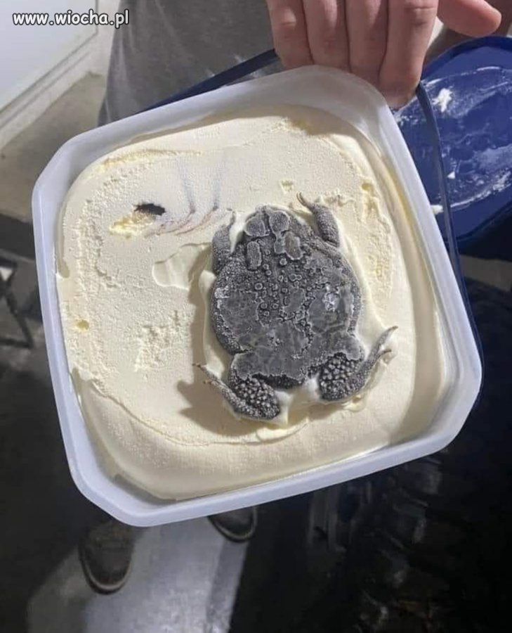 Lody, lody dla ochłody 