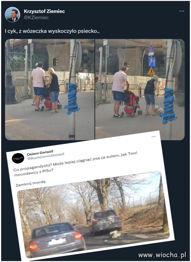 Doczekał się Ziemiec odpowiedzi