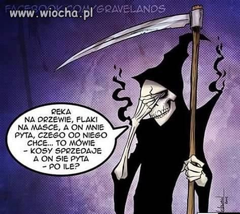 Wyborca PISuaru