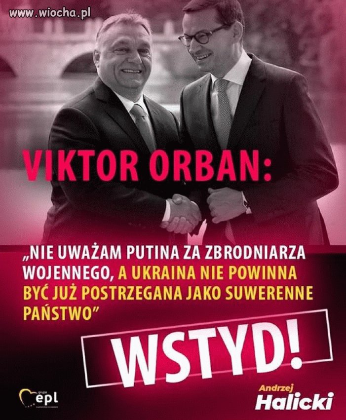 Największy sojusznik pisowców w Europie