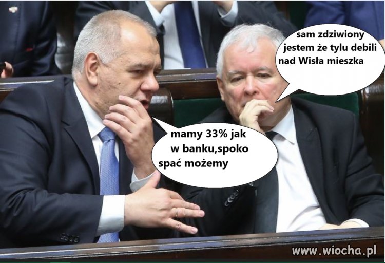 Wybory,procenty