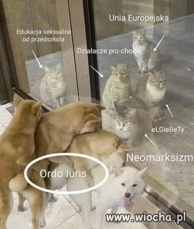 Tak to wygląda