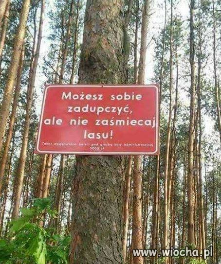 Lasy to nasze wspólne dobro!